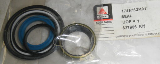 New, AGCO 1749725M91, 1749725M91 Seal Kit, WRD19