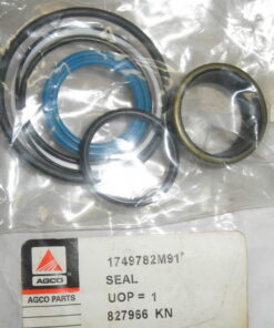 New, AGCO 1749725M91, 1749725M91 Seal Kit, WRD19